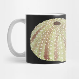 Pastel Watercolor Sea Urchin Shell Mug